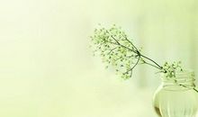 有用，材便是才