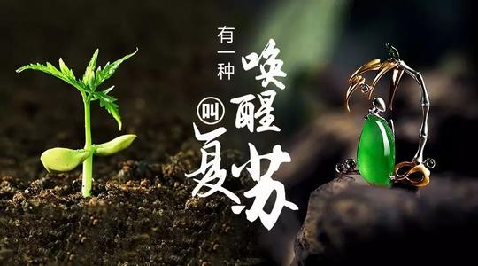 春天的琐事