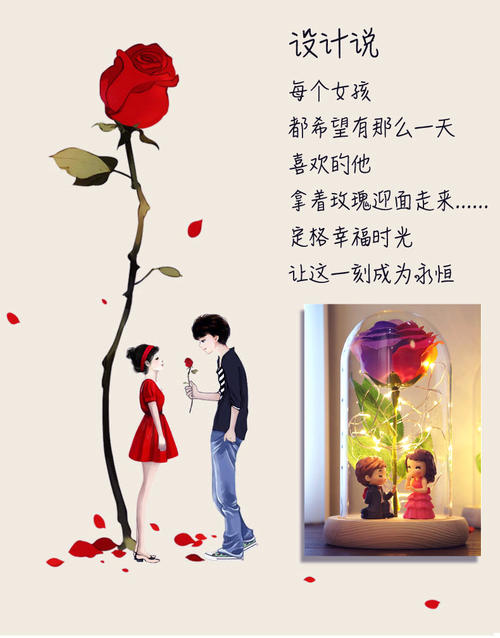 友谊的礼物