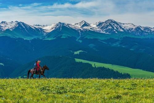 红绿灯下的风景