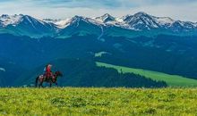 红绿灯下的风景