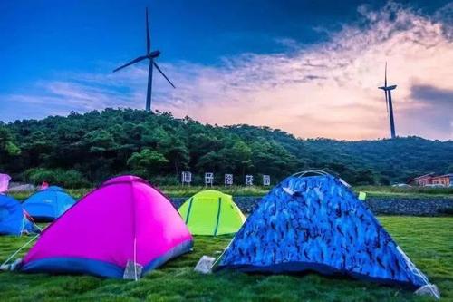 留在花园里的有趣事实
