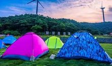 留在花园里的趣事