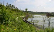 游白露湾湿地公园