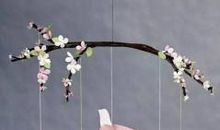 飞进教室的小鸟