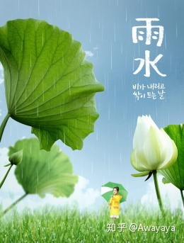 随着雨而成长