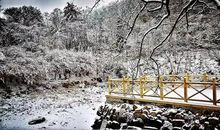 生活中的一抹诗意