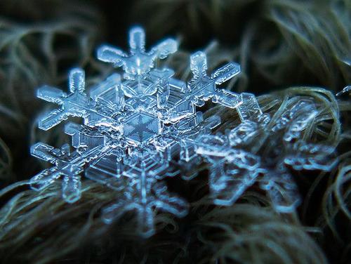 雪花的叙事