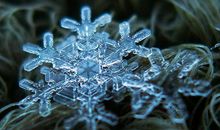 一片雪花的自述