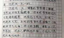 关于领略的作文