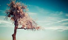 那年我的梦开始