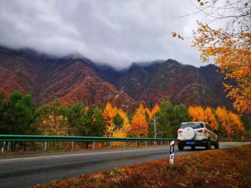 我心中的风景