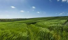 走在春天，收获成长