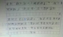 关于写作业的作文