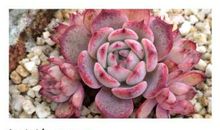 读你，读懂了你