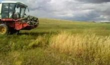 又是一年农忙时