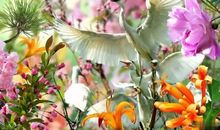 感谢岁月让我们相遇