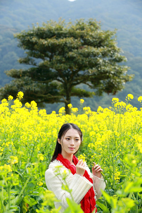 油菜开花时