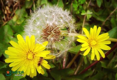 秋天在我心中_750字