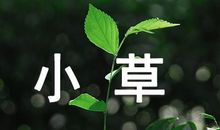 小草作文400字借物喻人