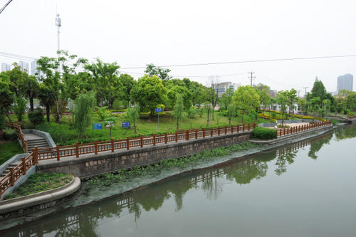 让家更美丽