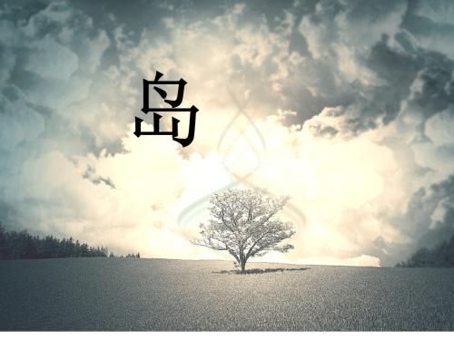 看完小岛
