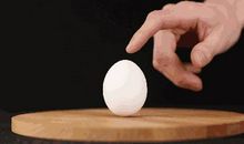 竖立鸡蛋