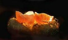 感谢一路上有你陪伴