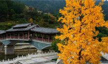 走，我们赏秋去