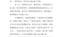 我是一颗鹅卵石