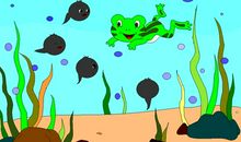 妈妈找蝌蚪看图写话