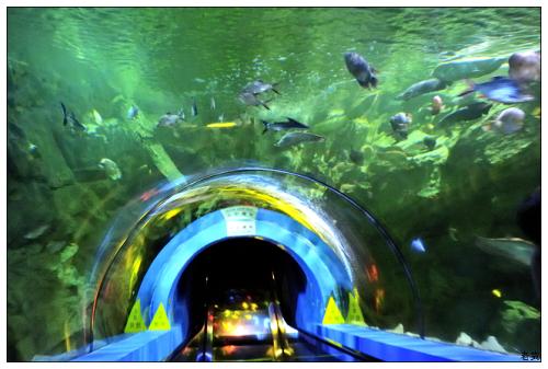 宁波水族馆