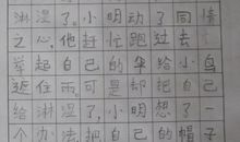 放飞小鸟看图写话