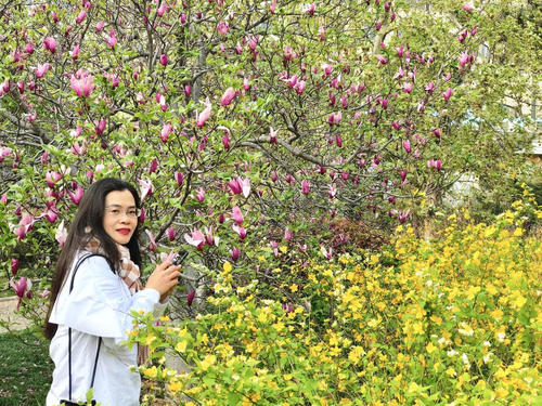 原来春天总是在这里