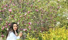 原来春天一直都在