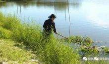 我的爷爷是河长