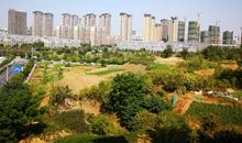 美丽的运河风光带