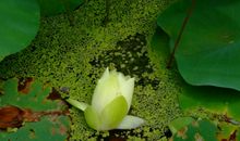 雨，原来也如此美丽
