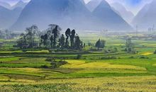 我发现大自然的美