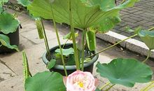 给予其实很简单