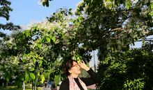 春天的苍梧绿园