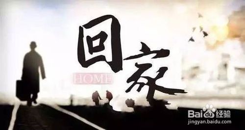 回家过年