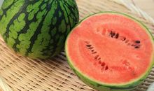 观察西瓜