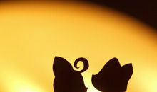 有你我不再害怕