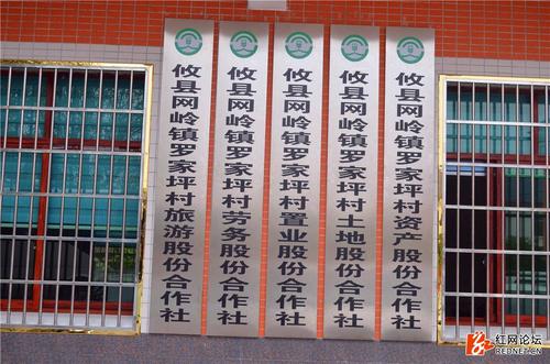 深爱的网络_3000字