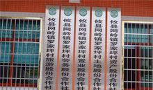 一网情深_3000字