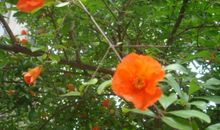 那抹色彩常在我心田