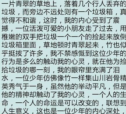 关于垃圾的成分