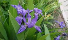 童年的时光最美