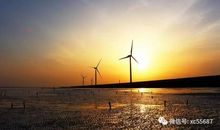 勇敢让我如此美丽